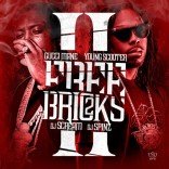 free-bricks-2-front