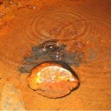 billion-year-old-water-Ty1qz4rgp