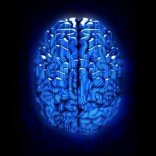 brain-upgrade-digital-colloid