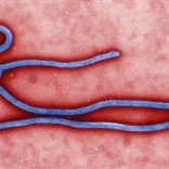 ebola-americans-atlanta
