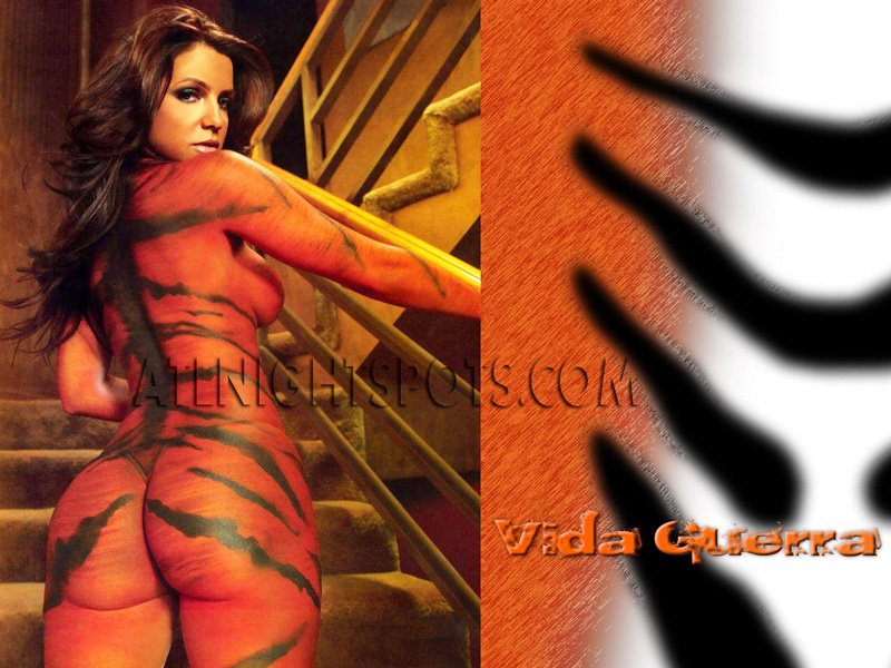 Vida-Guerra-Tiger-Paint-atlnightspots-pics-atlanta-booty