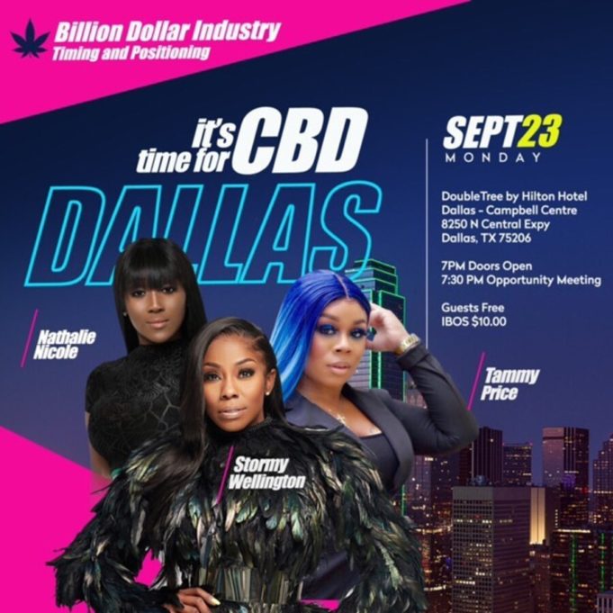 Stormy Wellington Net Worth 2024 Atlanta Celebrity News