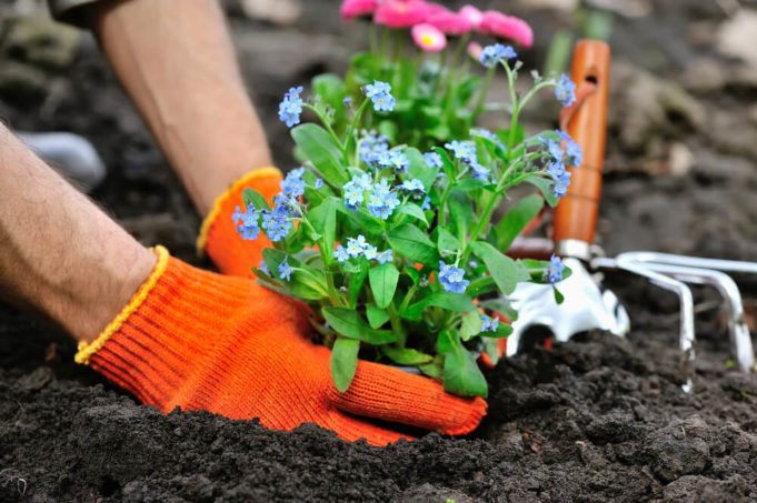 Enjoy Gardening As They Do - Celebrities Who Love Gardening - Atlanta