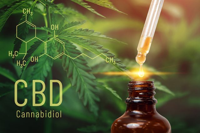 Cannabis CBD oil extracts in jars herb and leaves. Concept medical marijuana