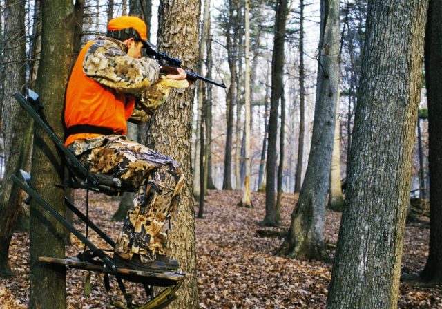 hunting