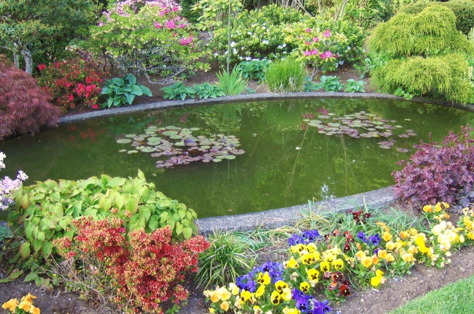 Цветочный пруд 22. Клумба вокруг пруда. Пруд в саду. Цветник у водоема. Цветы вокруг искусственного пруда.