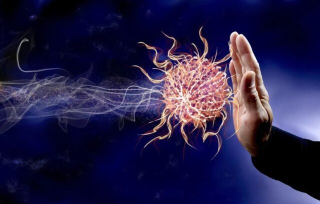 Immune System