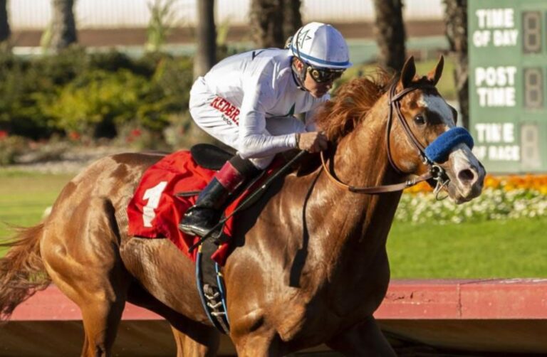 Top 3 Best Breeders' Cup 2024 Favorites Atlanta Celebrity News