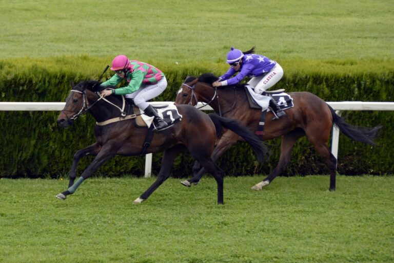 Top 3 Best Breeders' Cup 2024 Favorites Atlanta Celebrity News