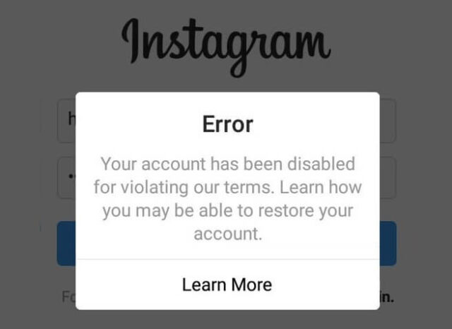 Instagram Account Disabled: How To Appeal And Get It Reinstated In 2024 ...